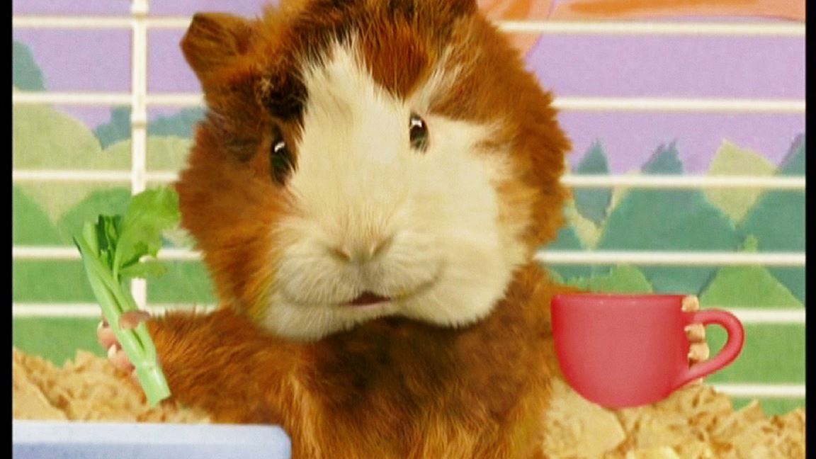 The Wonder Pets Save The Camel